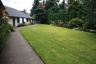 A well-kept grassy lawn with a concrete walkway beside a single-story building and tall hedges and trees in the background.