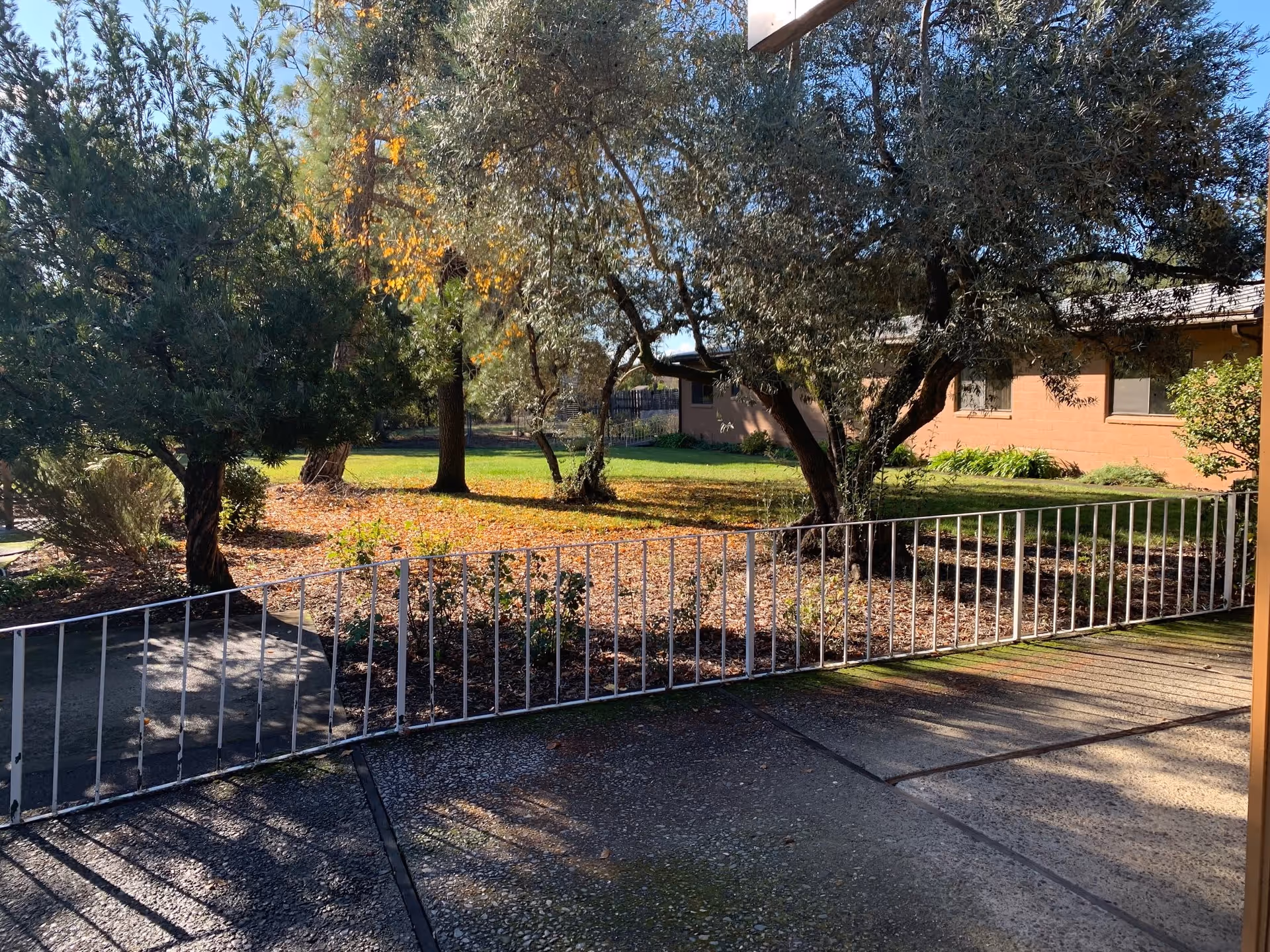 Outdoor view of a garden area at Sonoma Grove Assisted Living & Memory Care, featuring several trees with autumn leaves, a grassy lawn, and a low white metal fence along a paved walkway. A single-story building with windows is visible in the background under a clear blue sky.