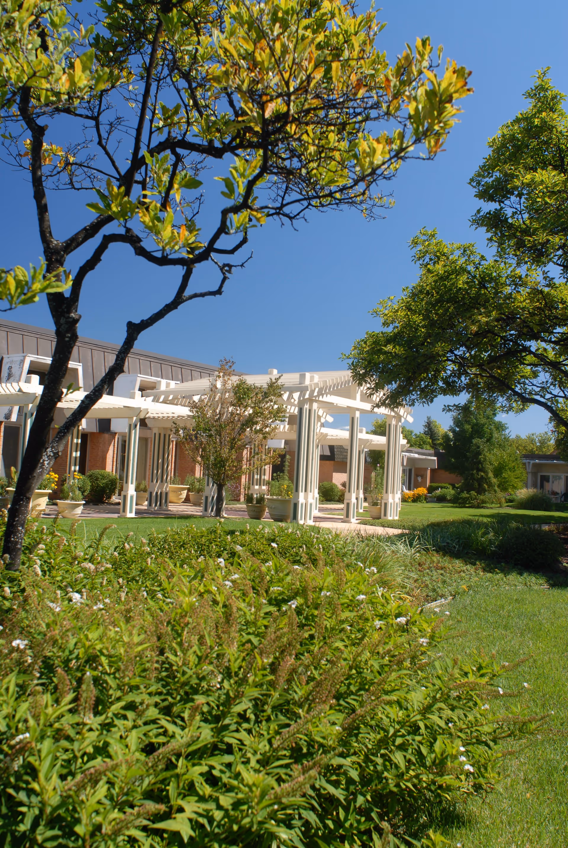 Outdoor garden area at Porter Hills Village featuring green shrubs, trees with fresh leaves, a well-maintained lawn, and a white pergola structure attached to a brick building under a clear blue sky.