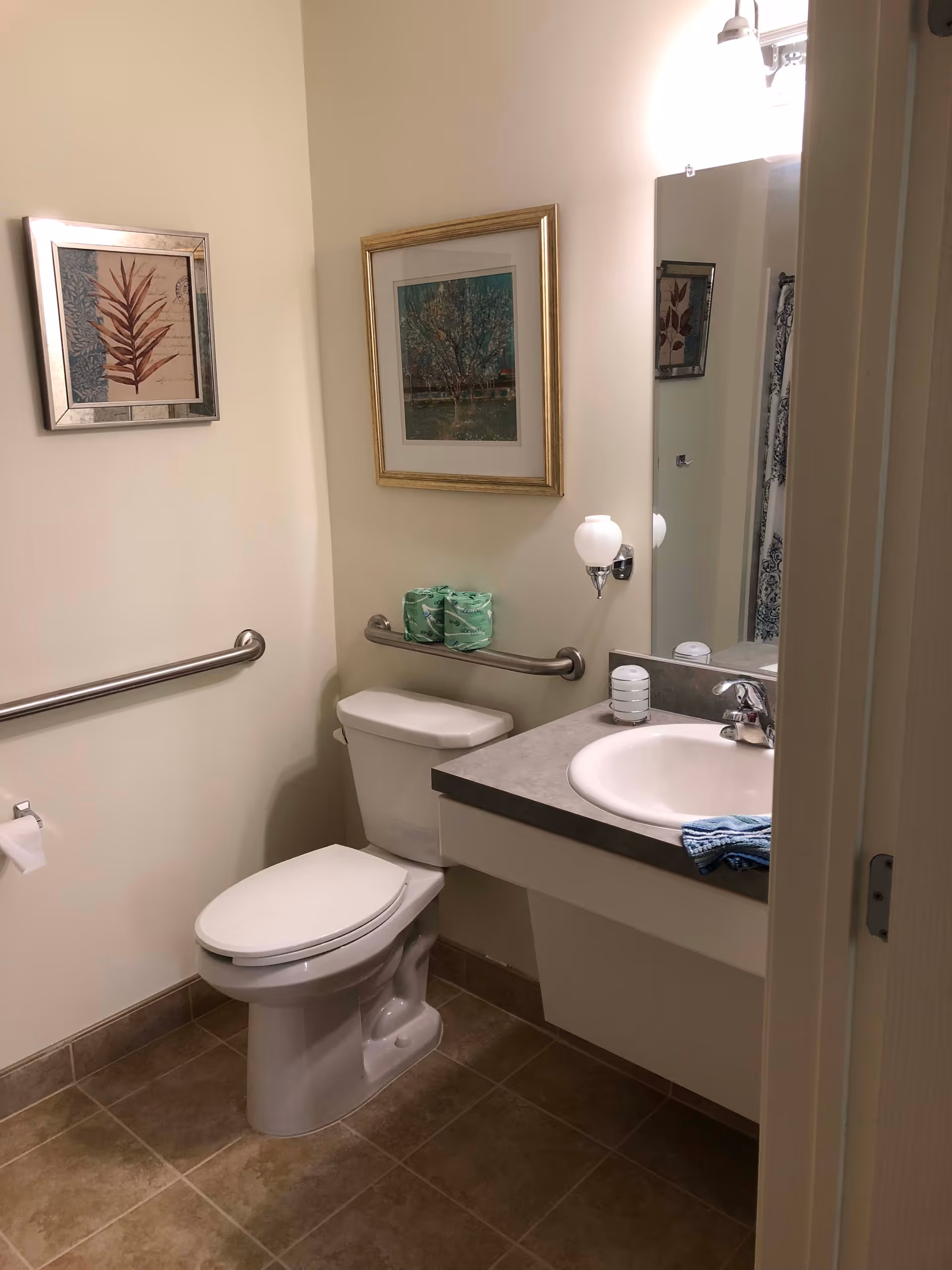 A clean bathroom with a white toilet, a sink with a countertop, a large mirror, and two framed pictures on the walls. There are grab bars installed near the toilet and a towel hanging on the sink counter. The floor is tiled in brown tones.