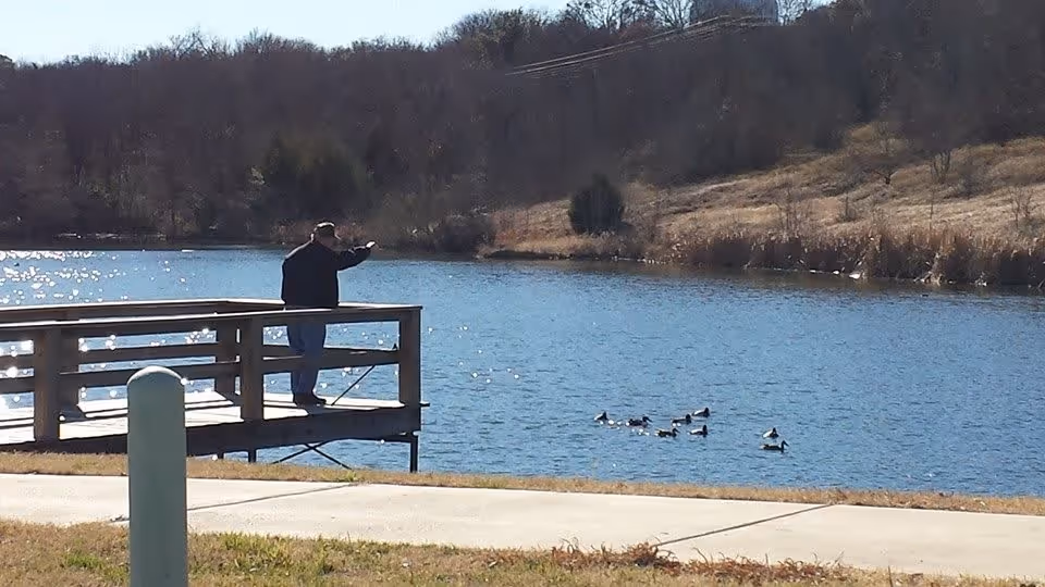 A person standing on a wooden dock extending over a calm lake, surrounded by a grassy area and trees in the background. Several ducks are swimming in the water near the dock.