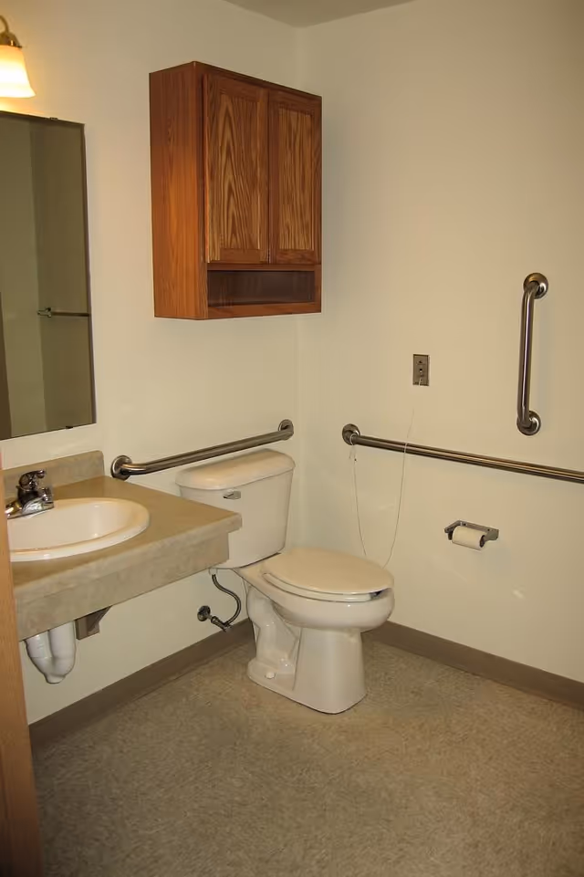 A clean, accessible bathroom with a toilet, a sink with a countertop, a mirror, and wooden cabinet mounted on the wall. There are metal grab bars installed on the walls near the toilet and sink for support.
