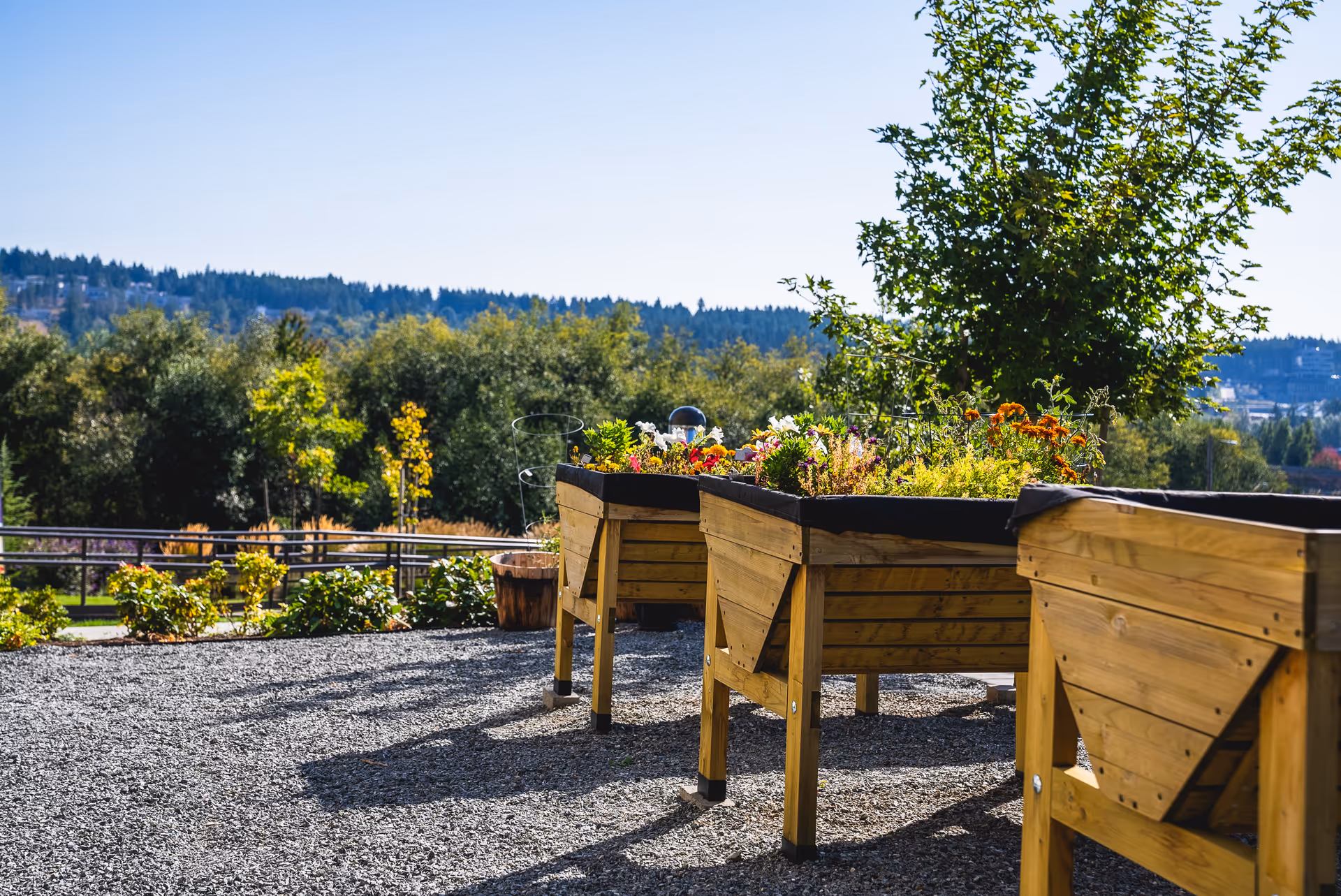 Raised wooden planter boxes with flowers on a gravel patio overlooking trees and distant hills.