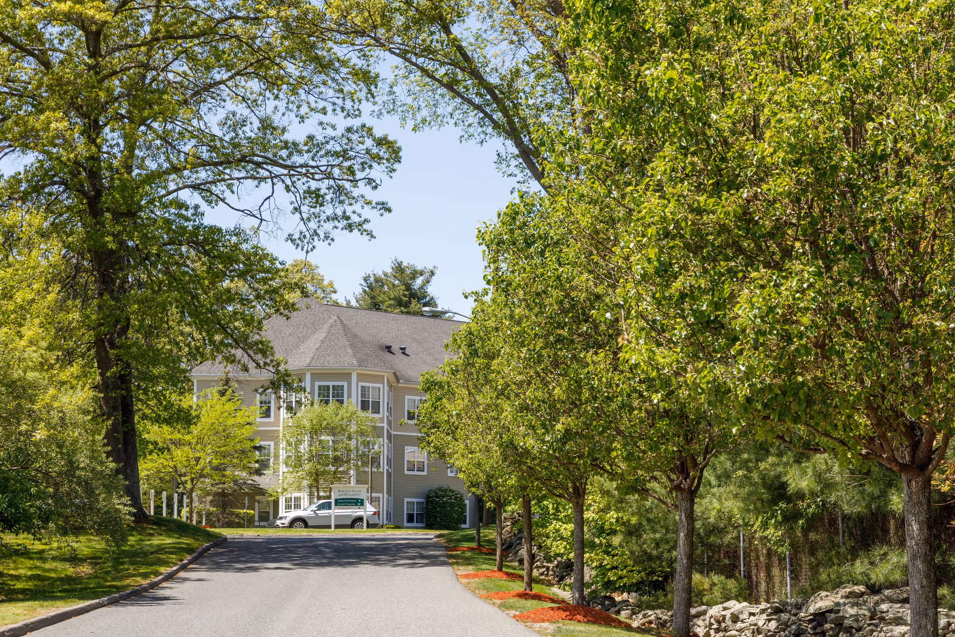 A paved driveway lined with green trees on the right side leads to a multi-story beige building with white trim, partially visible in the background under a clear blue sky.