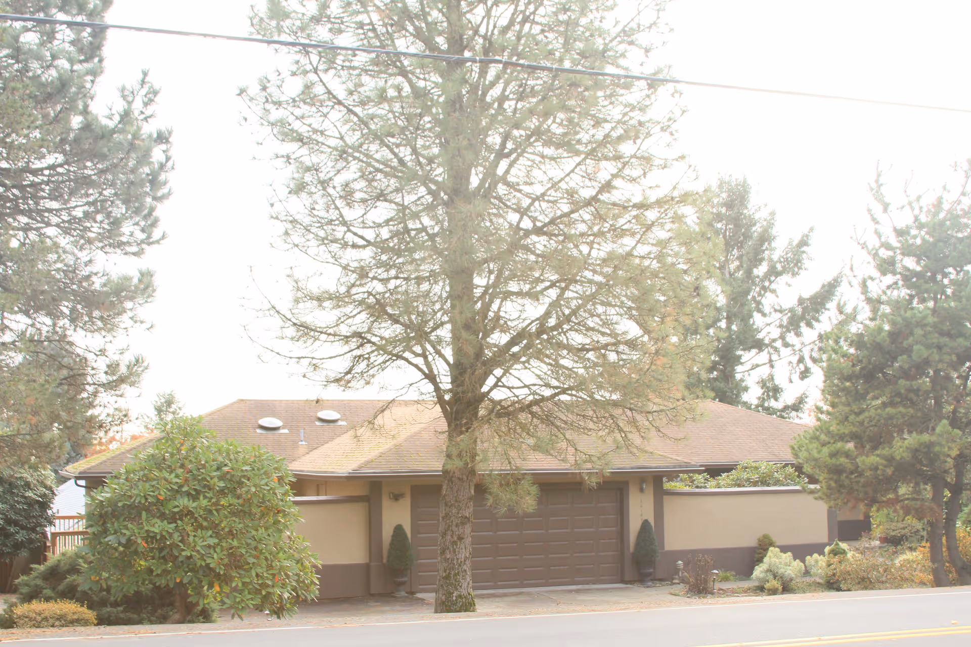 Exterior view of a single-story building with a brown garage door, surrounded by trees and shrubs along a street.