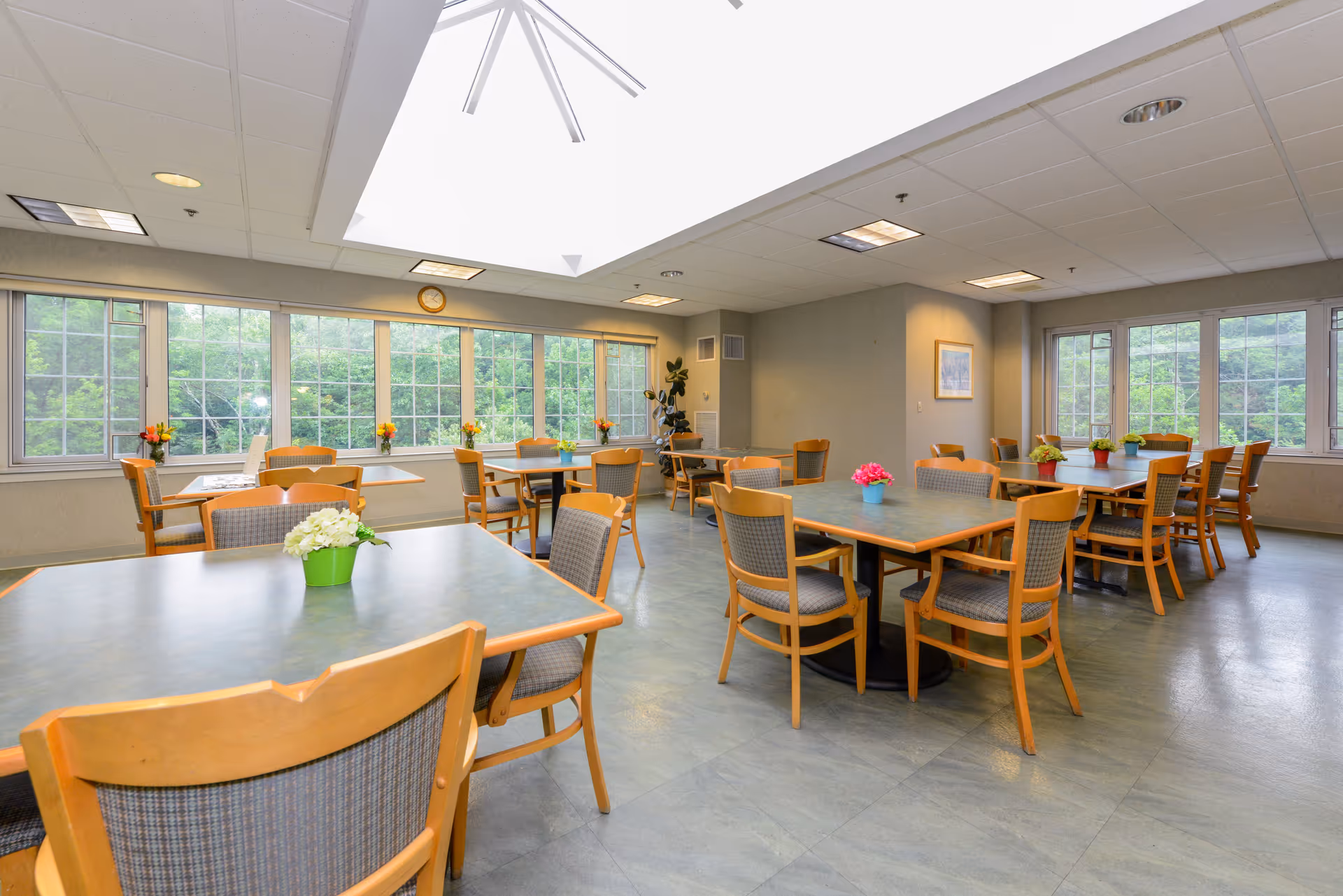 Sunlit dining room with multiple tables and chairs, small potted flowers on tables, large windows and a central skylight.