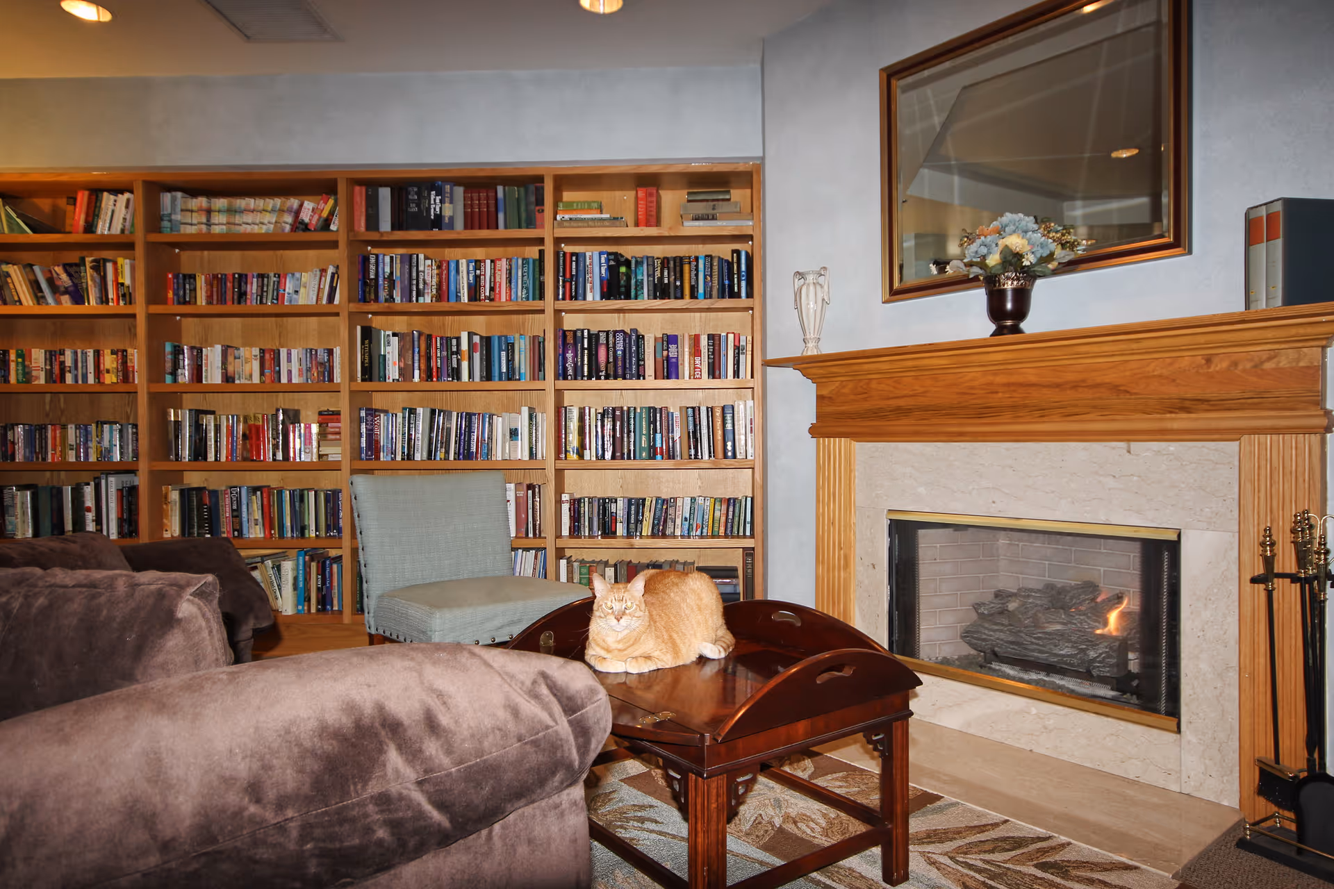 Cozy living room/library with built-in bookshelves, a fireplace, sofas, a coffee table and an orange cat sitting on the table.