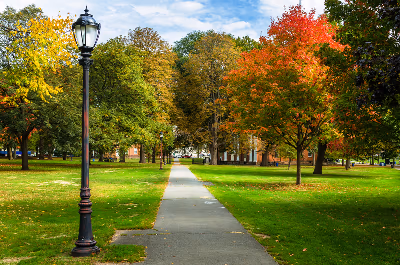 A paved walkway through a green park area lined with trees showing autumn colors, including green, yellow, and red leaves. There are vintage-style street lamps along the path and a building partially visible in the background.