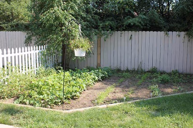 A garden area with green plants growing in soil beds, bordered by a white picket fence and a taller white wooden fence in the background. A hanging white planter with green foliage is suspended from a metal pole near the center of the garden. Trees and bushes are visible behind the fences.