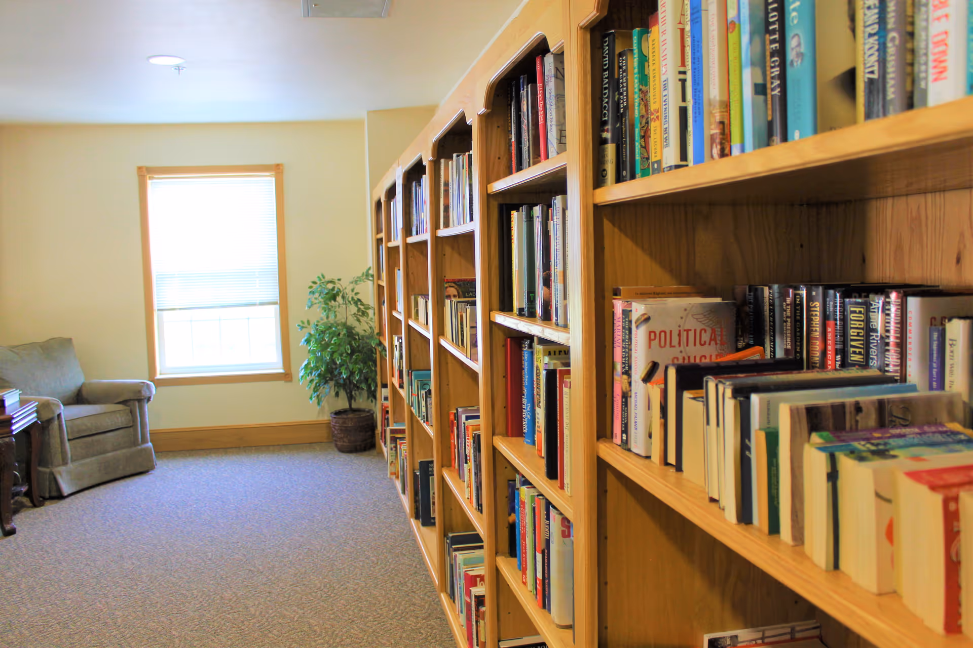 A cozy room with wooden bookshelves filled with books on the right side, a window with blinds letting in natural light, a potted plant near the window, and a comfortable armchair on the left side.