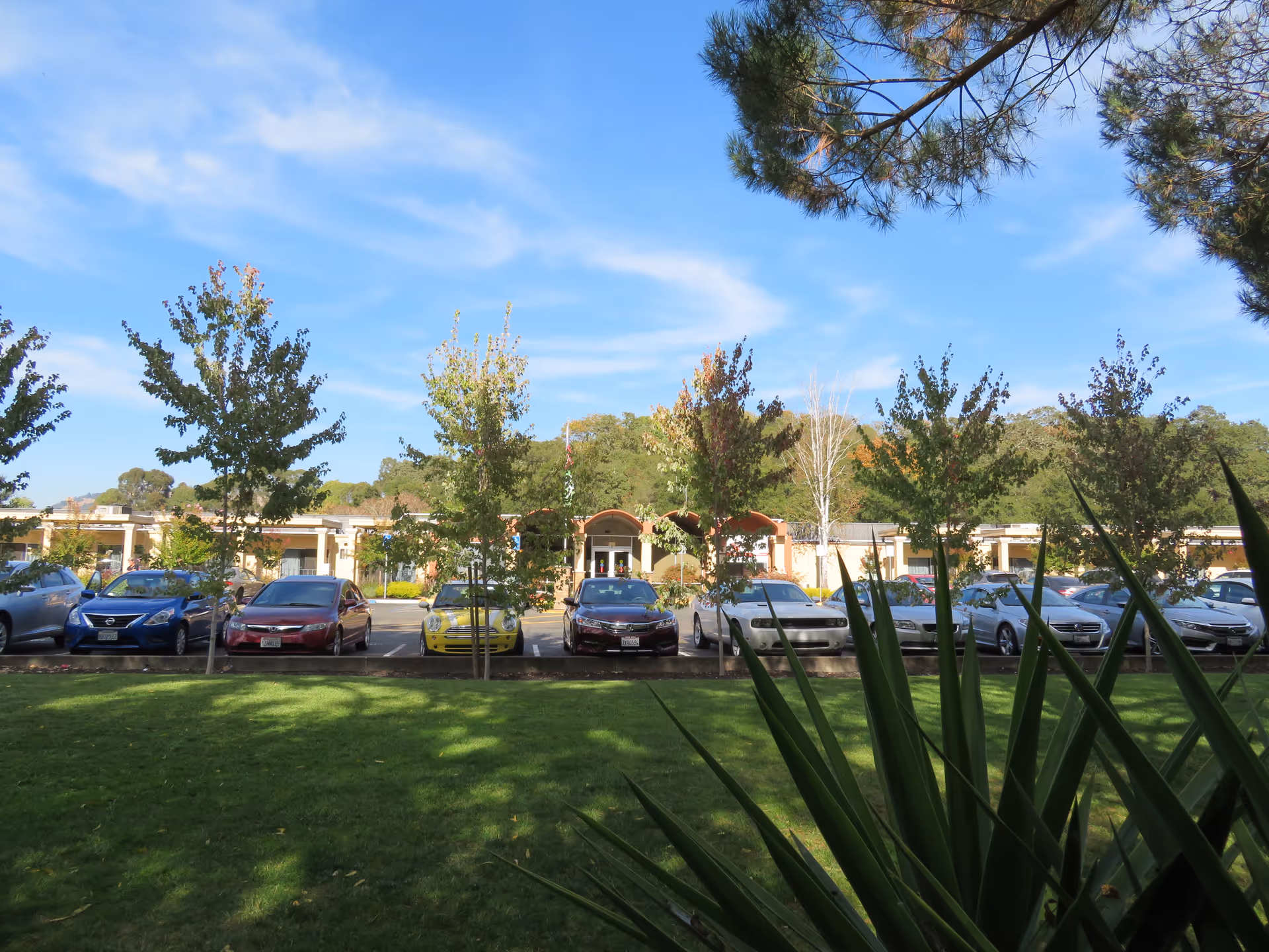 View of a parking lot with several cars parked in front of a single-story building surrounded by trees and greenery under a blue sky with some clouds.