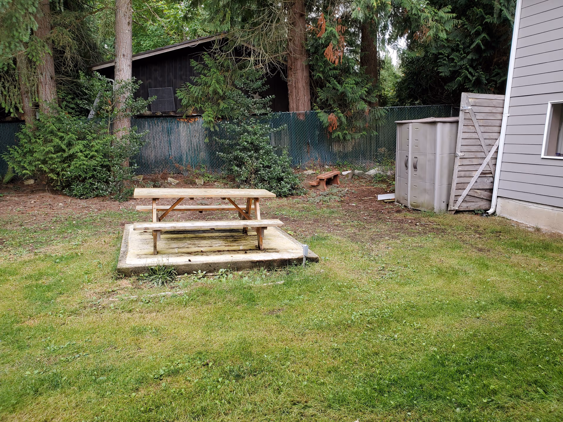 Backyard with a wooden picnic table on a concrete slab, grassy lawn, trees, a small shed, and the side of a gray building.