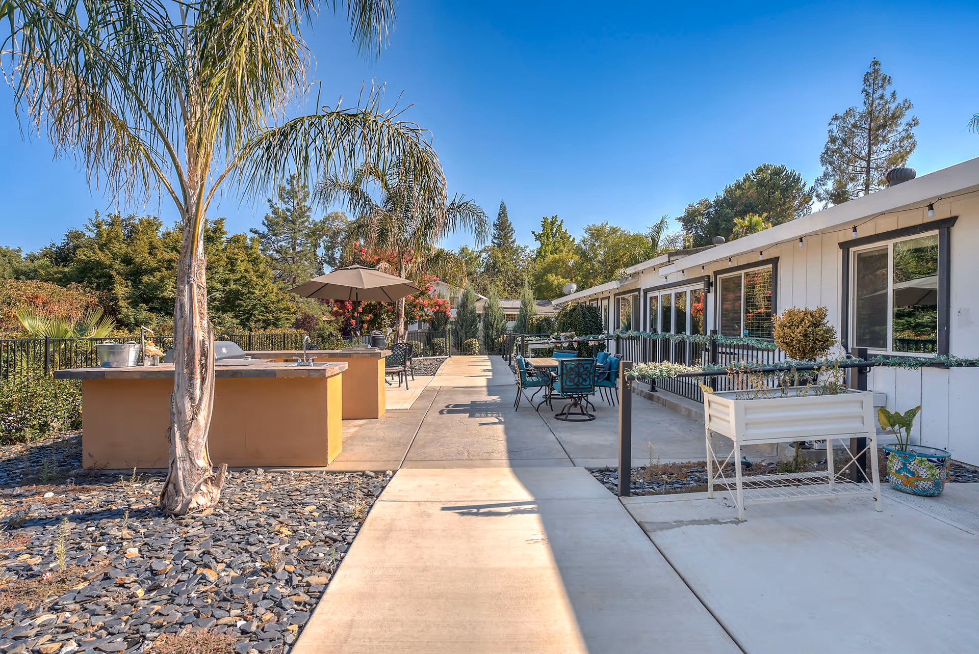 Outdoor courtyard with patio tables, umbrellas, barbecue islands, palm trees, and the exterior of a single-story senior living building.