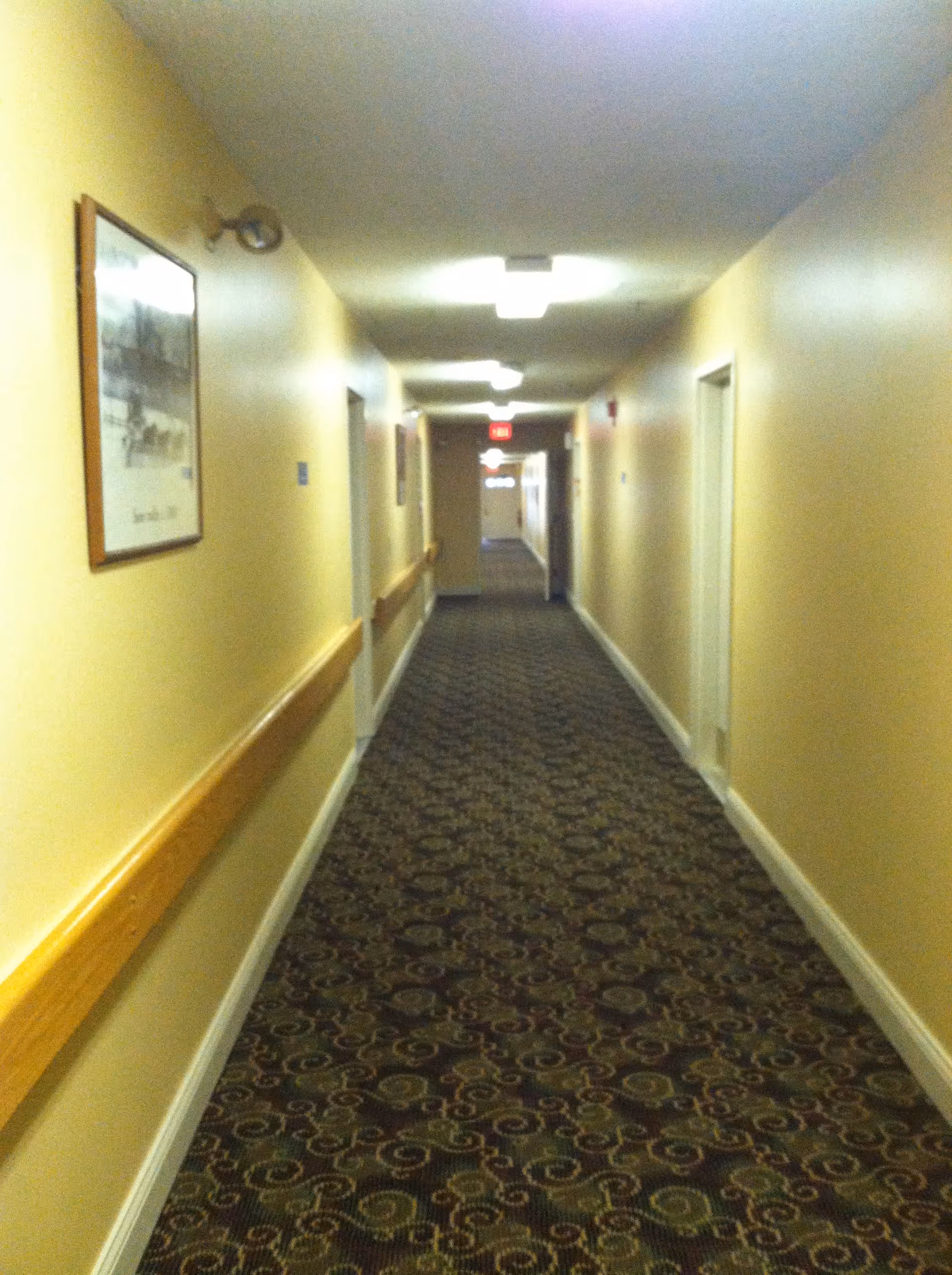Long indoor hallway with patterned carpet, beige walls, handrails on both sides, several closed doors, ceiling lights, and a framed picture on the left wall.
