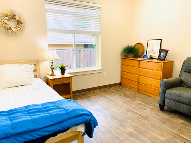 A bright and clean bedroom with a single bed covered with white sheets and a blue blanket. Next to the bed is a wooden nightstand with a lamp and a small plant. A window with white blinds lets in natural light. Across from the bed is a wooden dresser with decorative items including a plant, framed pictures, and a tray. A gray upholstered armchair is positioned near the dresser. The room has light-colored walls and wood flooring.