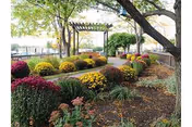 Outdoor garden area with colorful flowers and shrubs, trees providing shade, and a pergola structure in the background near a railing overlooking a body of water.