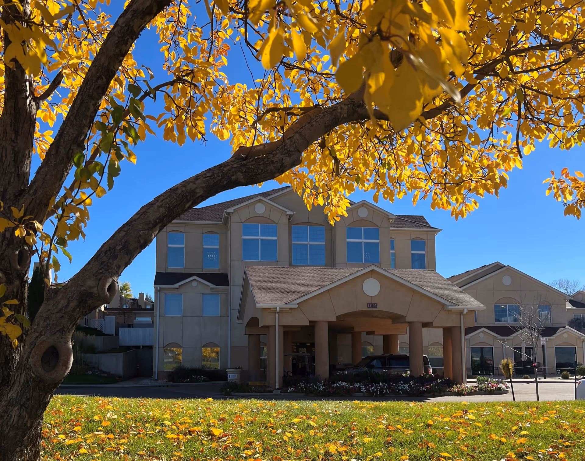 A multi-story beige building with large windows, partially obscured by a tree with bright yellow autumn leaves in the foreground. The building has a covered entrance supported by columns, and a green lawn with scattered yellow leaves is visible in front. The sky is clear and blue.
