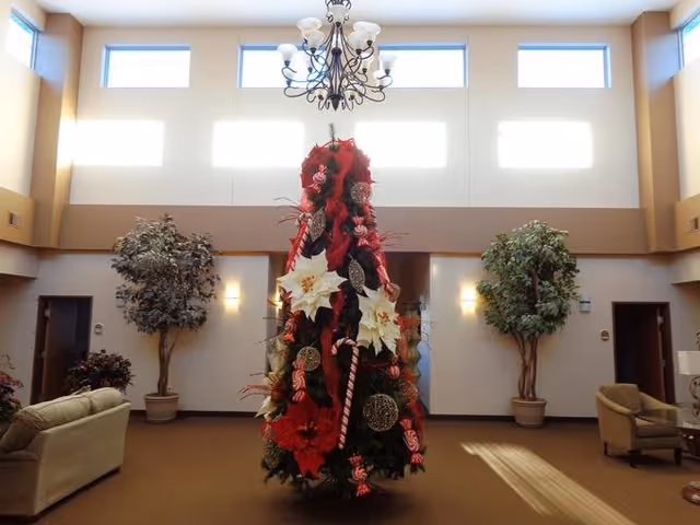 A decorated Christmas tree with red ribbons, white poinsettias, candy canes, and ornaments stands in the center of a spacious, well-lit room with high windows. The room has beige walls, two large potted plants on either side of the tree, a chandelier hanging above, and seating areas with sofas and chairs.