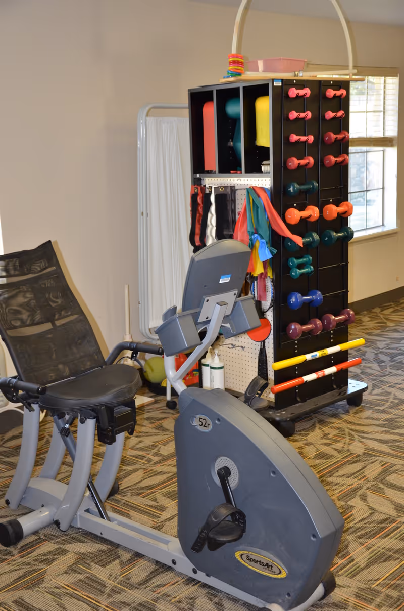 Indoor exercise area with a recumbent stationary bike and a rack holding various colorful dumbbells, resistance bands, and exercise equipment. The room has patterned carpet flooring and a window letting in natural light.