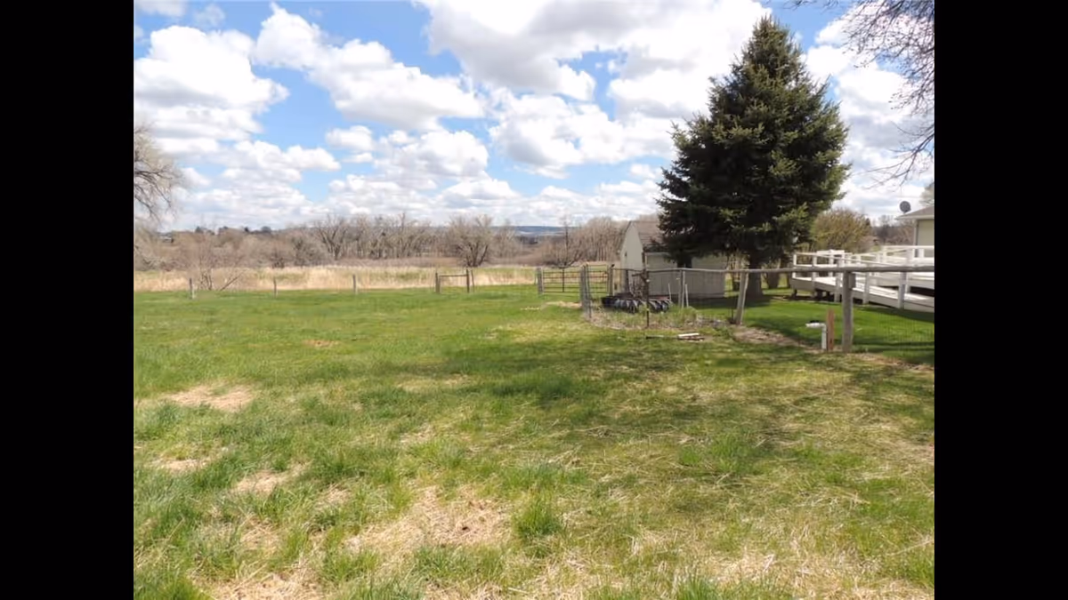 A grassy outdoor area with patches of dry grass, a large evergreen tree, a fenced section, and a white building with a ramp on the right side under a partly cloudy sky.