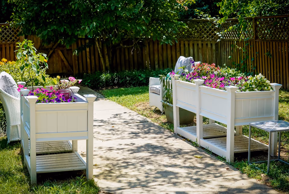 A sunny outdoor garden area with a concrete pathway flanked by white planter boxes filled with colorful flowers. Two white cushioned chairs are placed behind the planters, and a wooden fence and green trees are visible in the background.