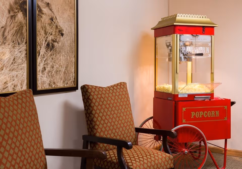 Two patterned armchairs next to a vintage-style red popcorn machine filled with popcorn, with a framed picture of a lion on the wall behind the chairs.