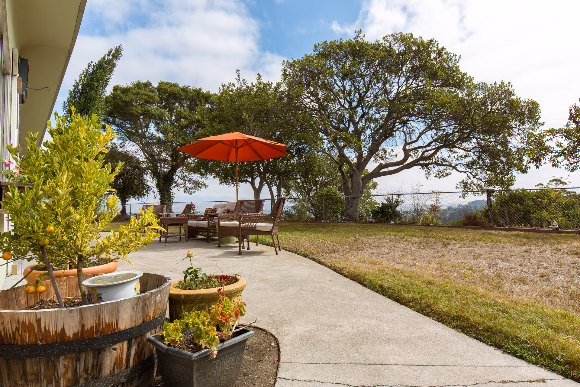 A landscaped outdoor space featuring seating under an orange umbrella surrounded by trees and plants.
