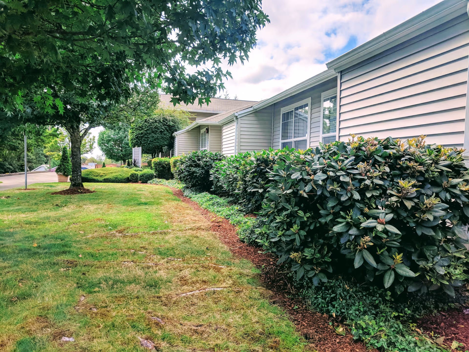 A landscaped outdoor area beside a light-colored building with multiple windows. The scene includes green grass, neatly trimmed bushes, and several trees under a partly cloudy sky.