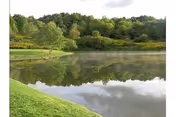 A peaceful outdoor scene featuring a calm pond reflecting the surrounding green trees and cloudy sky, with grassy banks and a wooded area in the background.