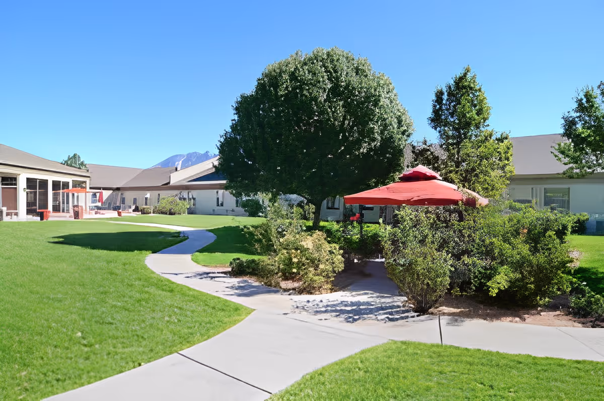 Sunny courtyard with winding concrete paths, manicured lawn, a large tree and a red patio umbrella near single-story buildings.