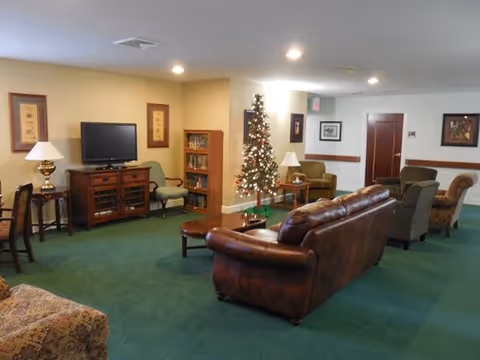 A cozy living room area with green carpet, brown leather sofa, armchairs, a wooden TV stand with a flat screen TV, a small bookshelf, table lamps, framed artwork on the walls, and a decorated Christmas tree.