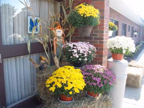 Front entrance of Palatine Nursing Home and Rehabilitation Center with potted mums and a scarecrow.