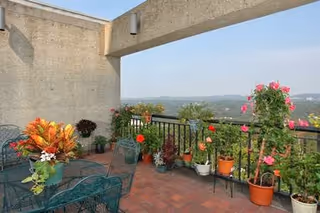 Outdoor patio area with metal chairs and tables, decorated with various potted plants and flowers along the railing, overlooking a distant landscape under a clear sky.