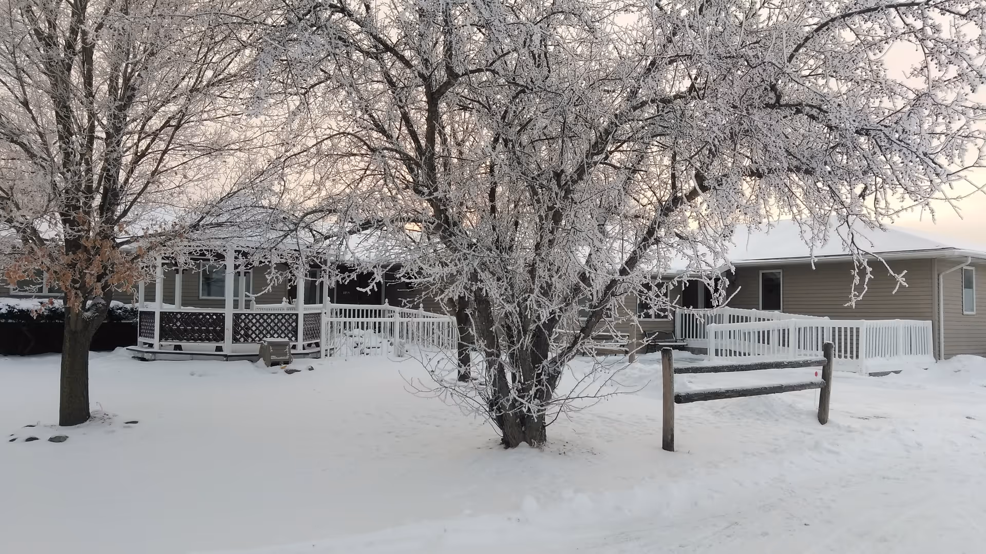 A snowy landscape featuring a residential building with frosted trees and a porch.