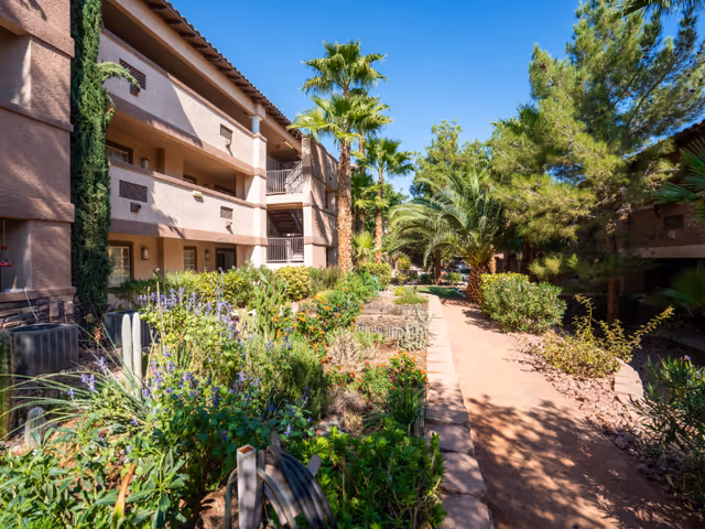 Outdoor garden area at Carefree Senior Living at The Willows featuring a walking path lined with various green plants, bushes, and palm trees, with a multi-story residential building on the left side under a clear blue sky.