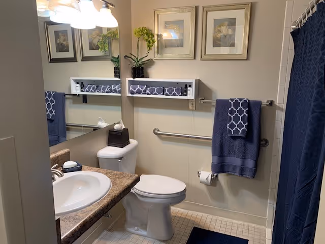 A clean and well-lit bathroom with a white toilet, a sink with a brown countertop, a large mirror above the sink, and a towel rack holding a dark blue towel with a patterned hand towel. There are two framed floral pictures on the wall above the towel rack, a small shelf with rolled towels and a plant, and a dark blue shower curtain on the right side.