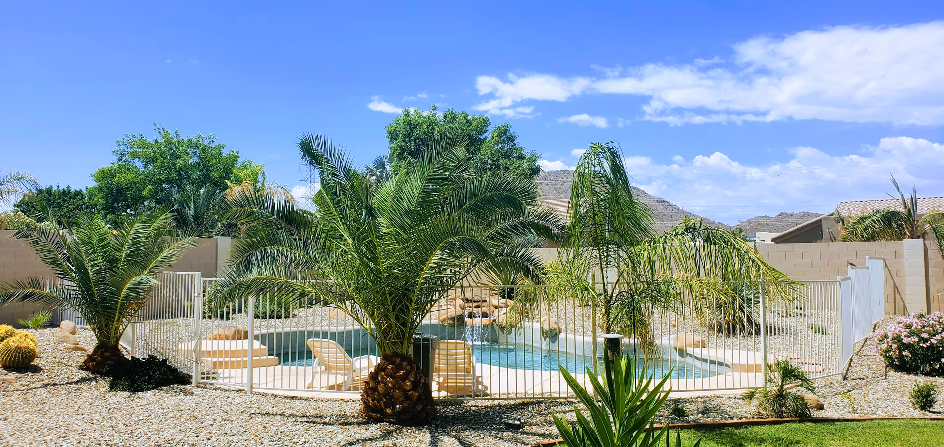 Outdoor area with a fenced swimming pool surrounded by palm trees and desert landscaping under a blue sky with some clouds.