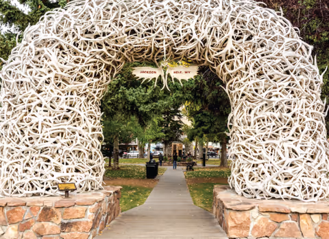 A large archway made of intertwined white antlers stands over a paved walkway in a park-like setting with green trees and grass. A wooden sign hanging from the top of the arch reads 'Jackson Hole, WY'. People and benches are visible in the background along the path.