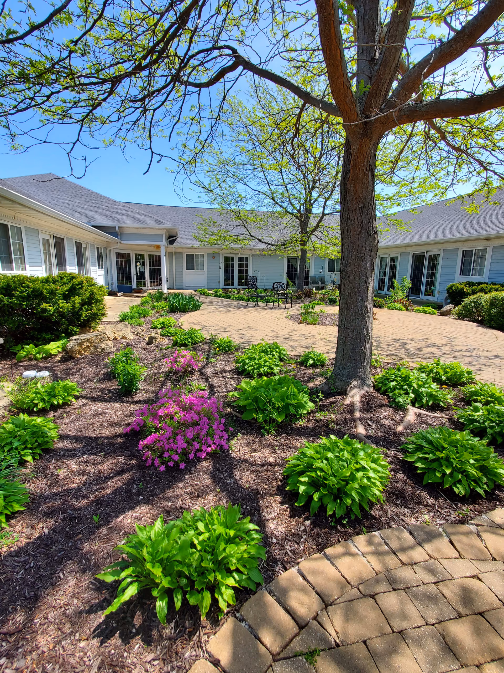 Outdoor courtyard area at Dimensions Living Winnebago featuring a large tree surrounded by green plants and purple flowers, with a paved walkway and patio seating. The building with multiple windows and doors surrounds the courtyard under a clear blue sky.