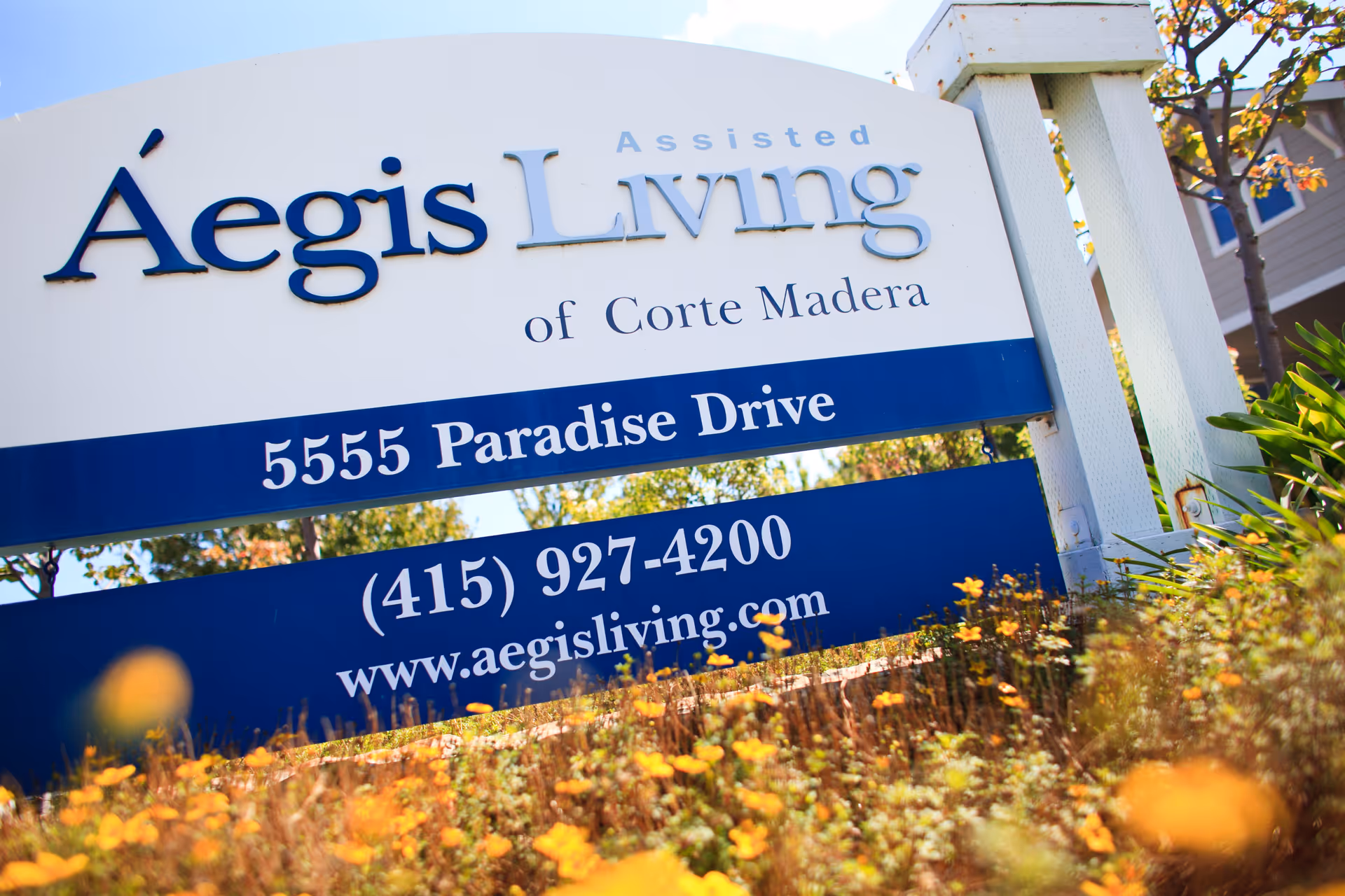 Outdoor sign for Aegis Living Assisted Living of Corte Madera displaying the address 5555 Paradise Drive and phone number (415) 927-4200 with website www.aegisliving.com, surrounded by plants and flowers.
