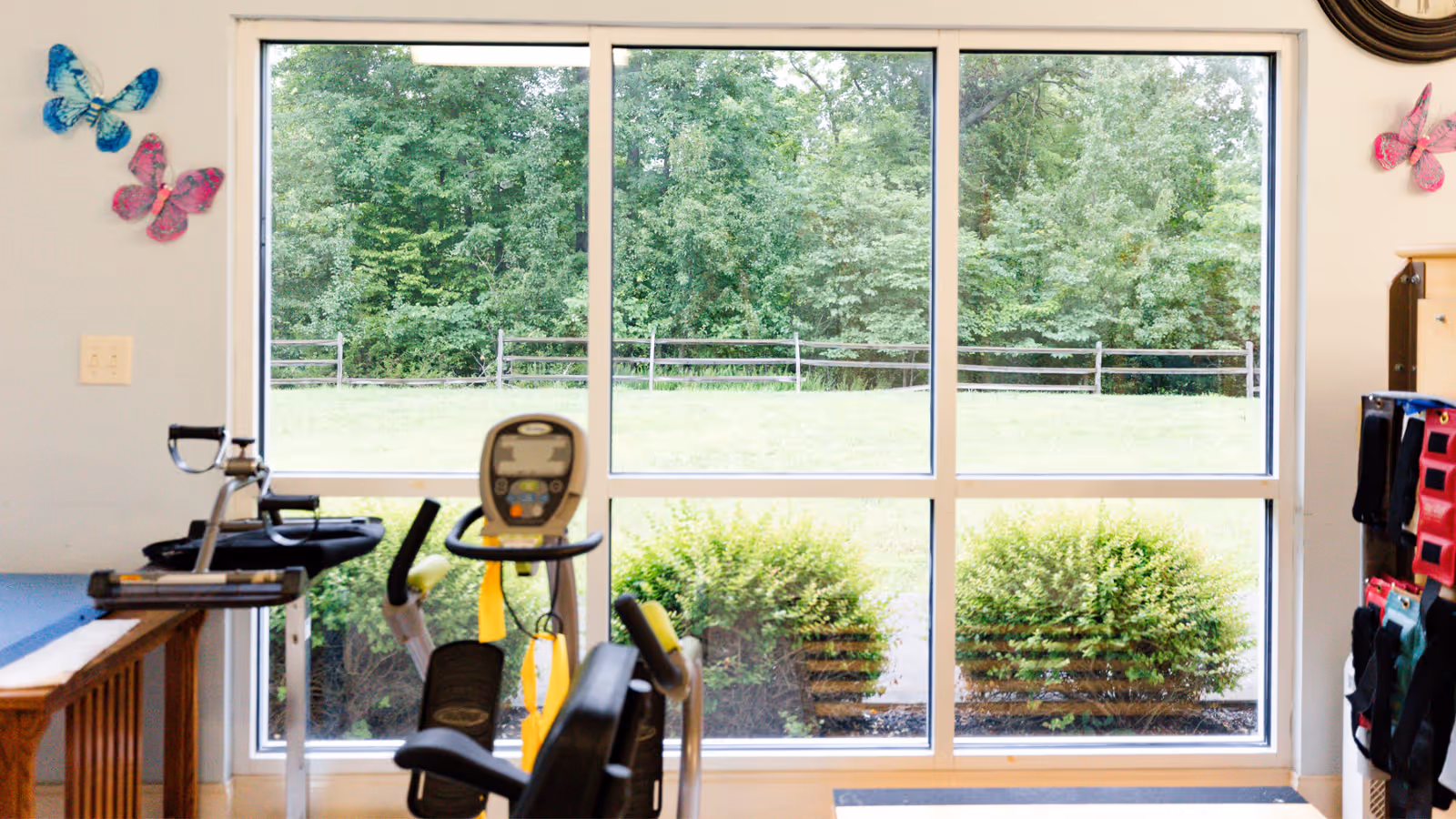 Indoor exercise area with stationary exercise bikes positioned in front of large windows showing a green outdoor landscape with trees and bushes. The room has light-colored walls decorated with colorful butterfly wall hangings.