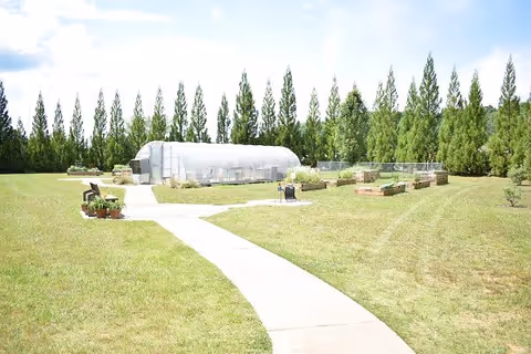 Outdoor garden area with a curved concrete pathway leading to a large greenhouse and several raised garden beds surrounded by green grass and tall trees in the background under a partly cloudy sky.