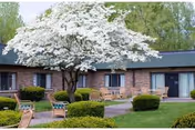 Outdoor seating area in front of a single-story brick building with a large tree in full white bloom and neatly trimmed bushes and grass.