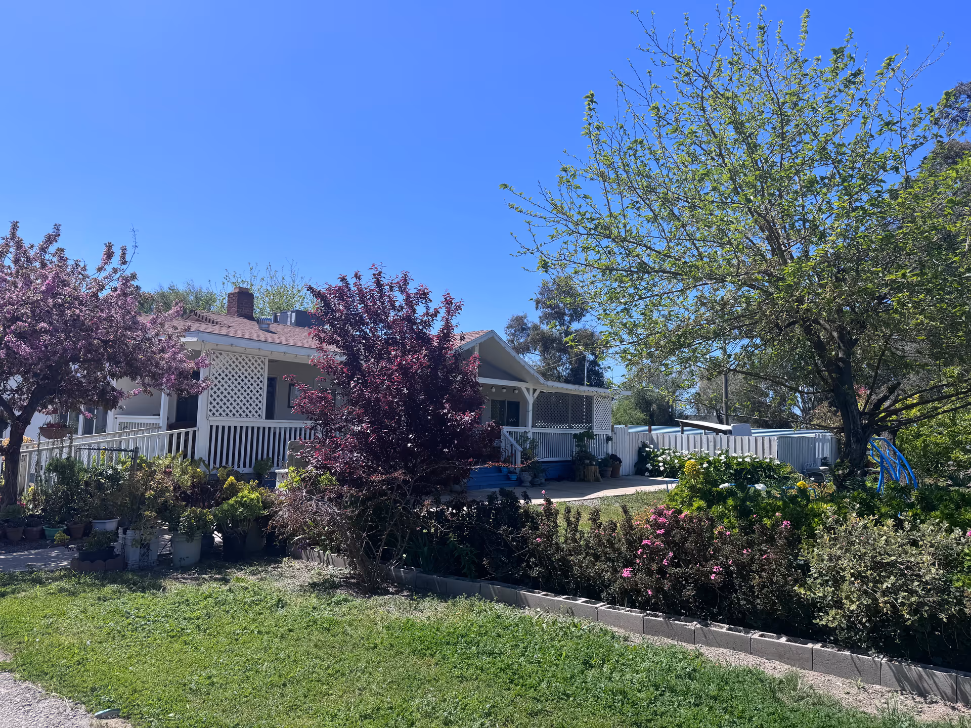 Single-story house with a white porch and a landscaped front yard of trees and flowering shrubs under a clear blue sky.