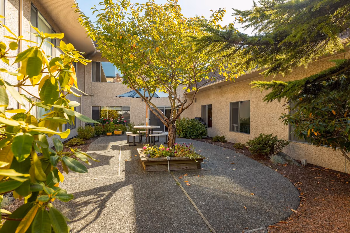 Sunny courtyard with a central tree, planter box, and a round table with an umbrella between two wings of the building.