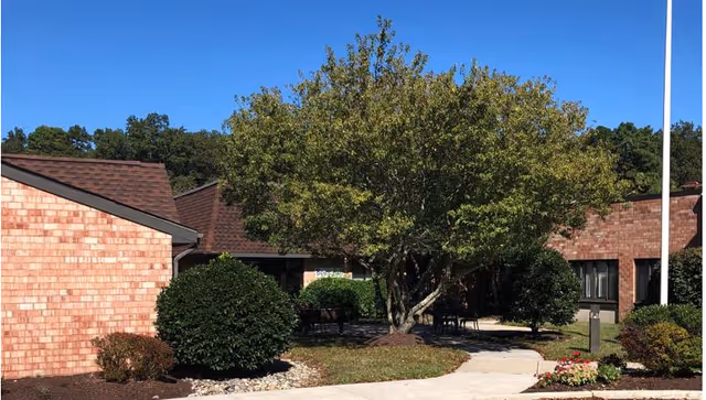 Brick senior living facility courtyard with a large central tree, trimmed shrubs, a walkway and building facades under a clear blue sky.