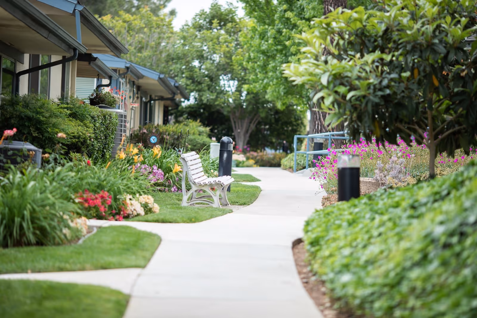 Curved sidewalk lined with flowering gardens and a bench in front of single-story residential units.
