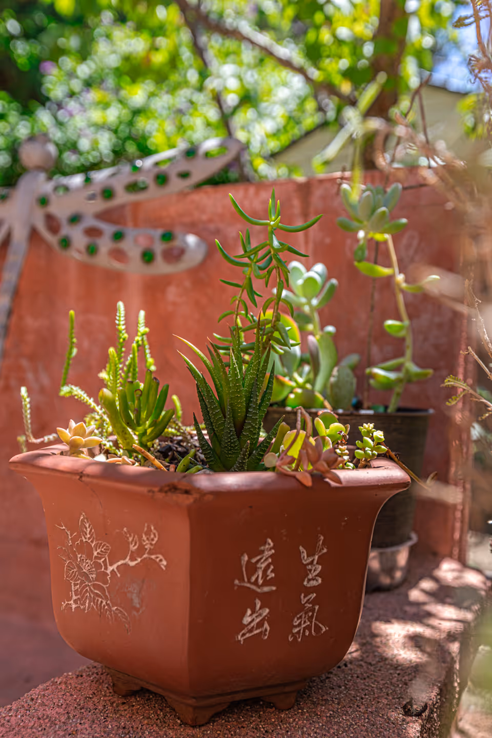 A close-up view of a terracotta planter with various green succulent plants growing in it. The planter has decorative floral engravings and Chinese characters on its side. In the background, there is a blurred metal dragonfly decoration attached to a reddish wall, with green foliage and sunlight filtering through.