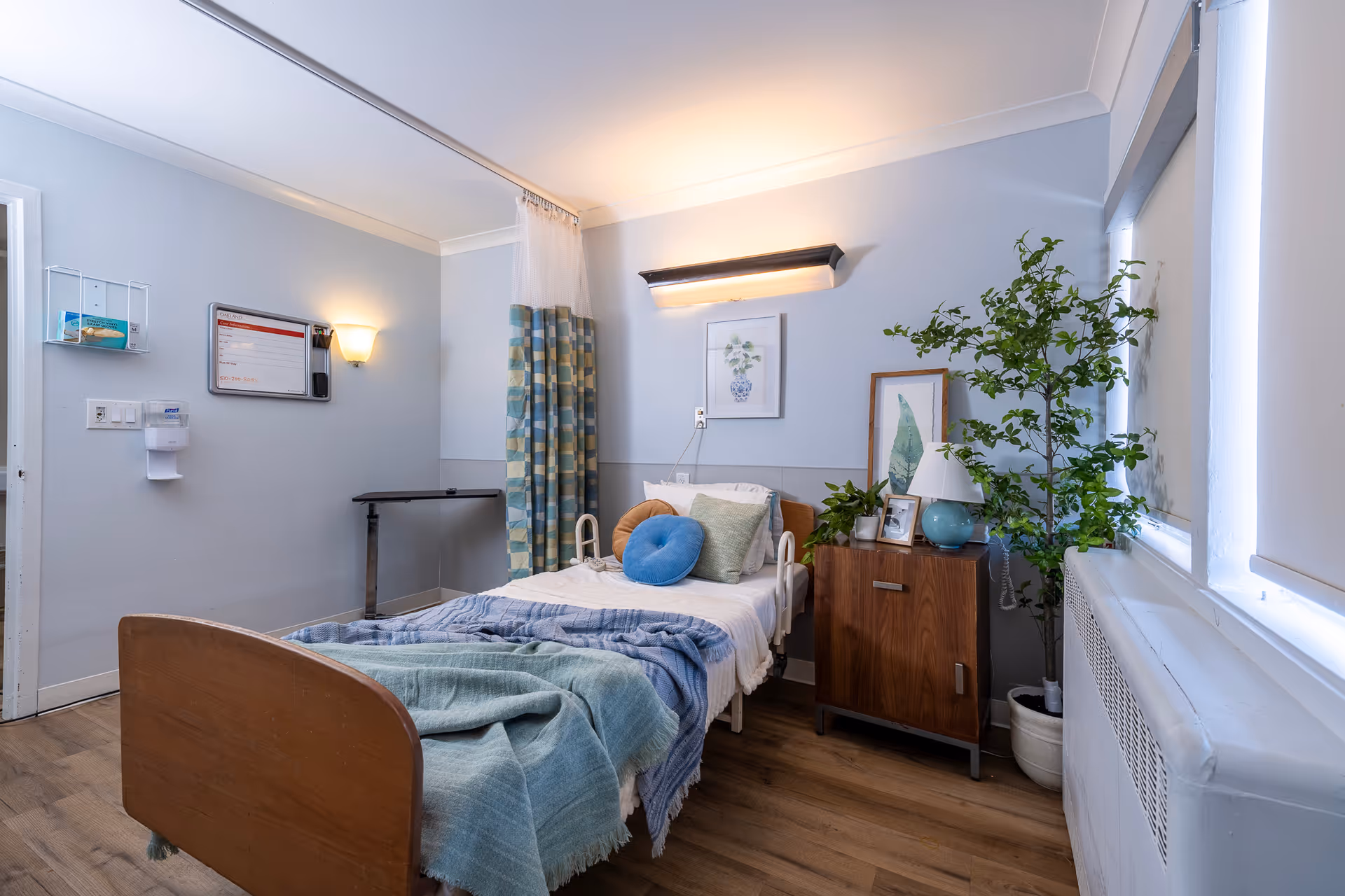 Well-lit senior care bedroom with a single bed, bedside cabinet, potted plant, and window.