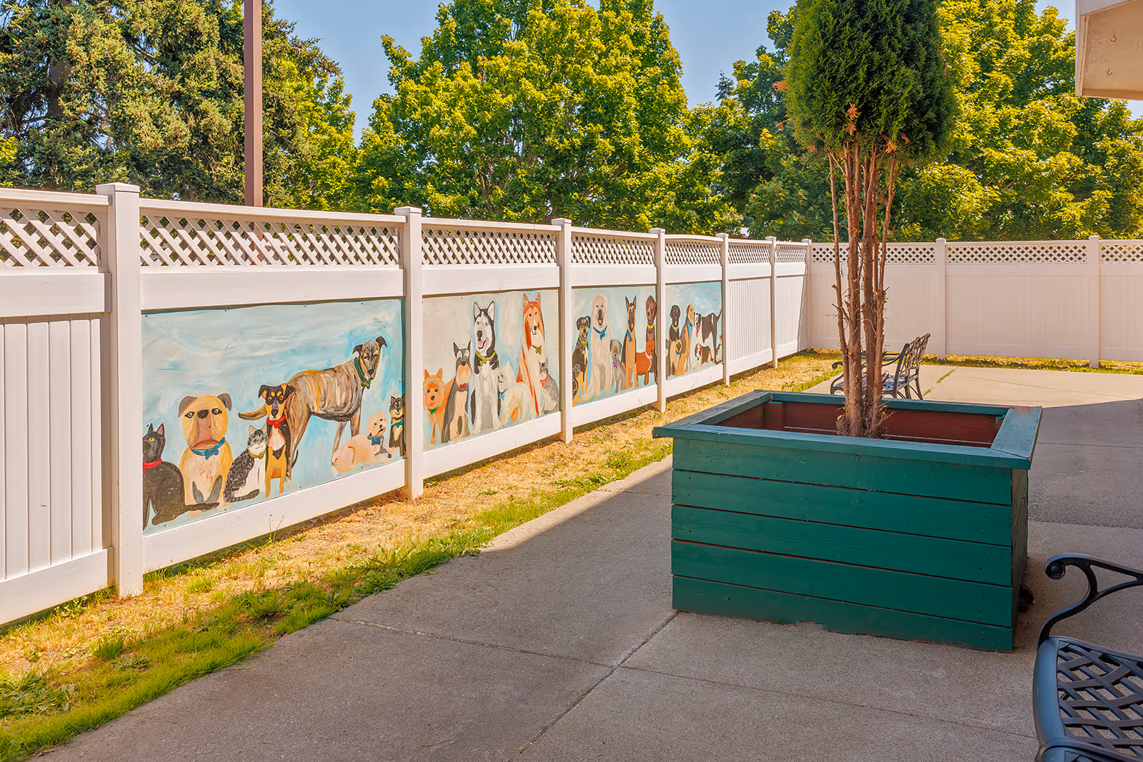 Outdoor patio area with a white fence featuring colorful paintings of various dogs and cats. There is a large green planter with a small tree and metal benches along the paved walkway. Trees with green foliage are visible beyond the fence under a clear sky.